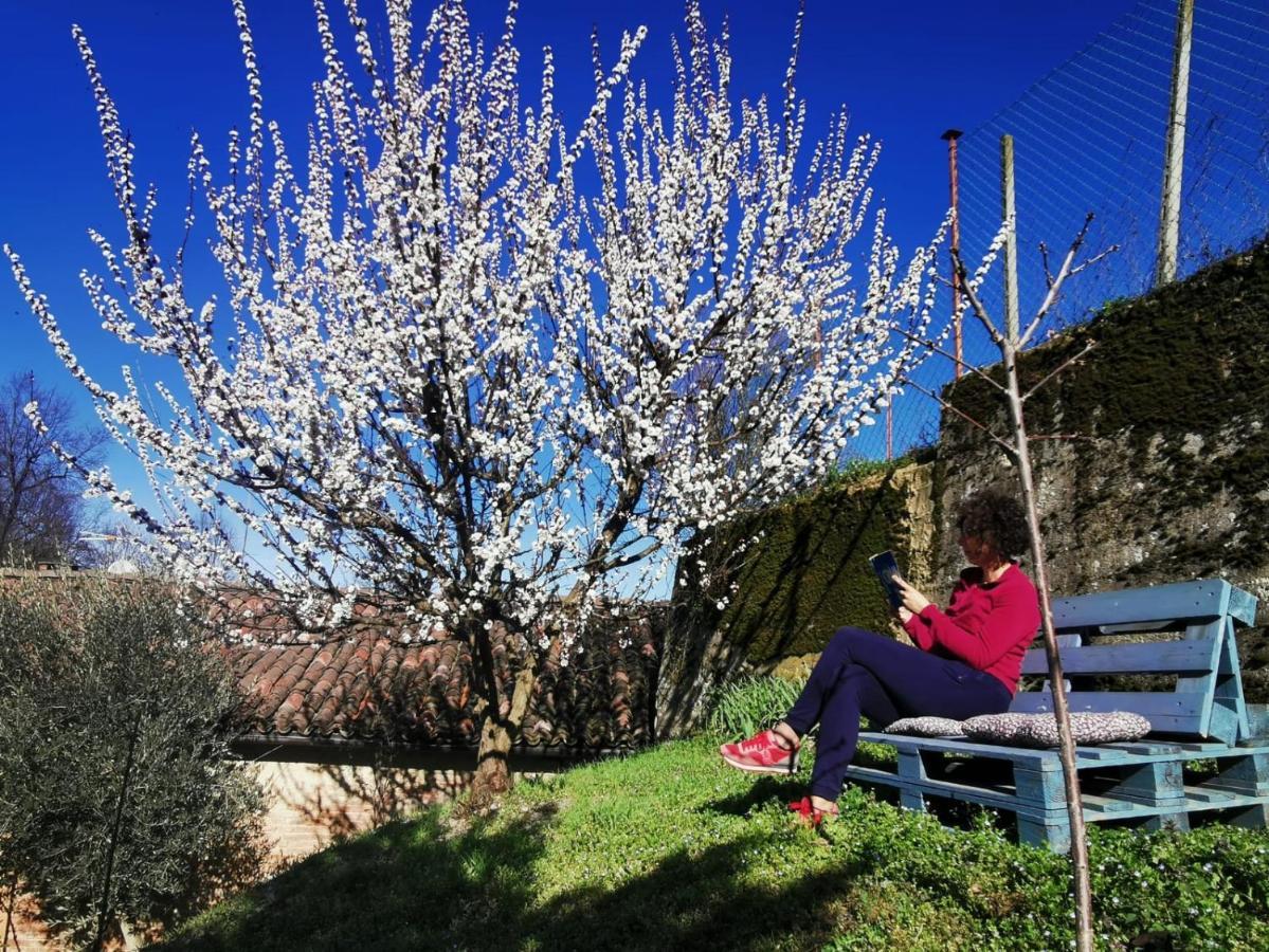 Casa Graziella- Appartamenti Vacanze Portacomaro Kültér fotó